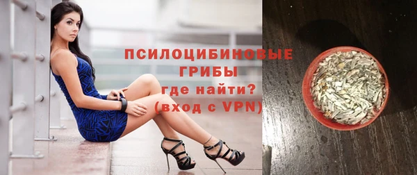 трава Белокуриха