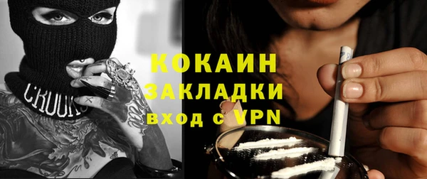трава Белокуриха