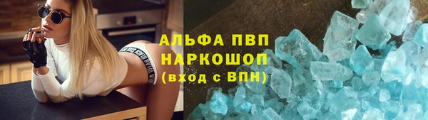 трава Белокуриха