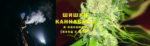 трава Белокуриха