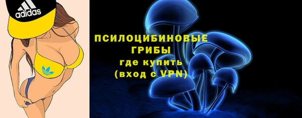 трава Белокуриха